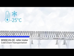 WIN50 DC 24v à entraînement moteur à rouleaux à chaîne froide
